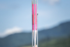 518787059_1319963370137422_2813071252667431815_n